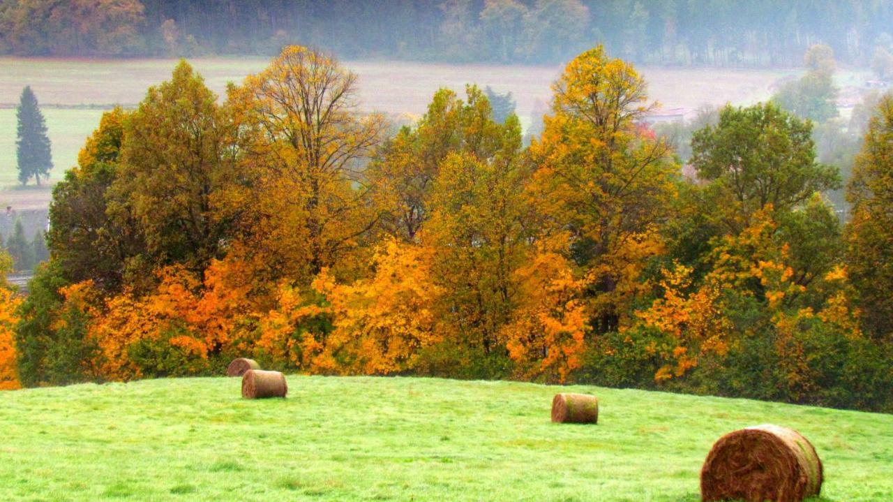 Agro na Gorce Barcinek Quarto foto